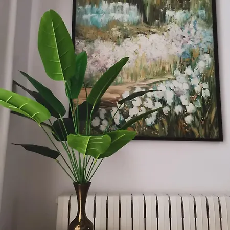 El Olivo Appartement